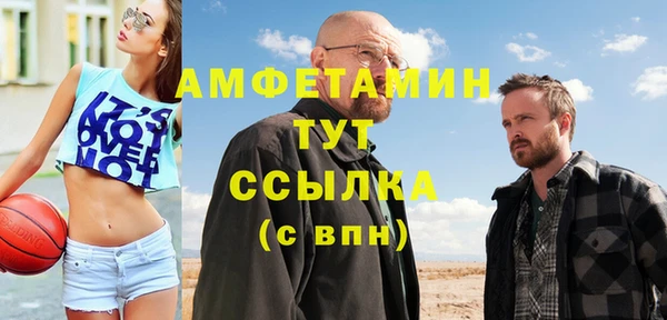 стафф Шенкурск