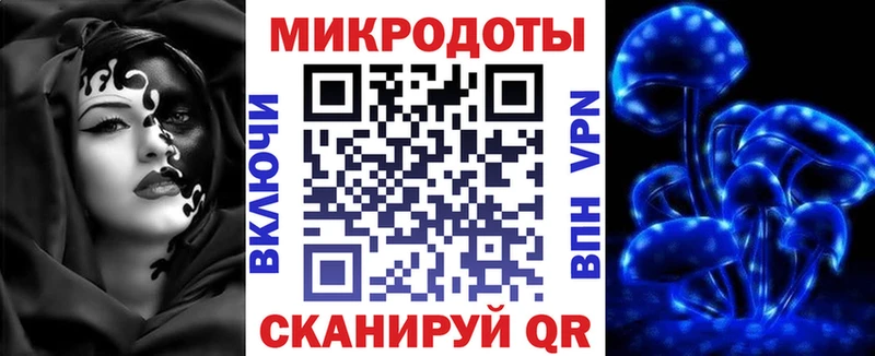 как найти закладки  Новочебоксарск  Галлюциногенные грибы Psilocybine cubensis 