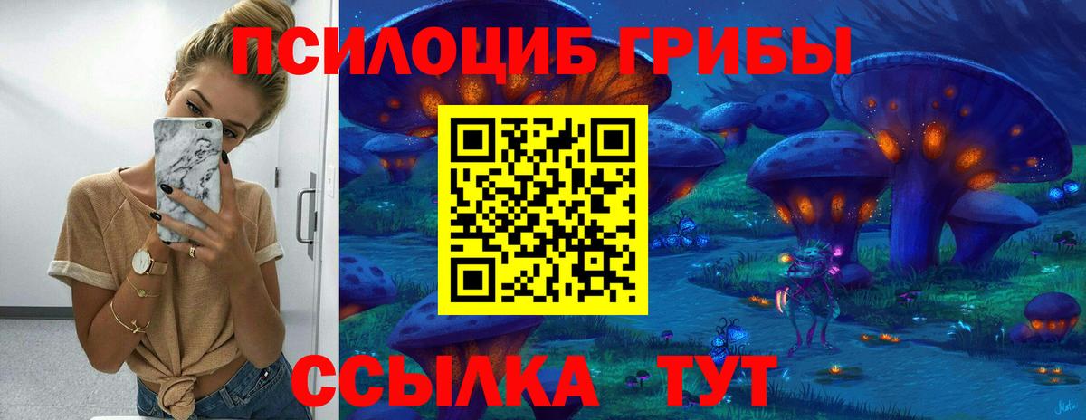 Псилоцибиновые грибы мицелий  Вход с VPN  Новочебоксарск 